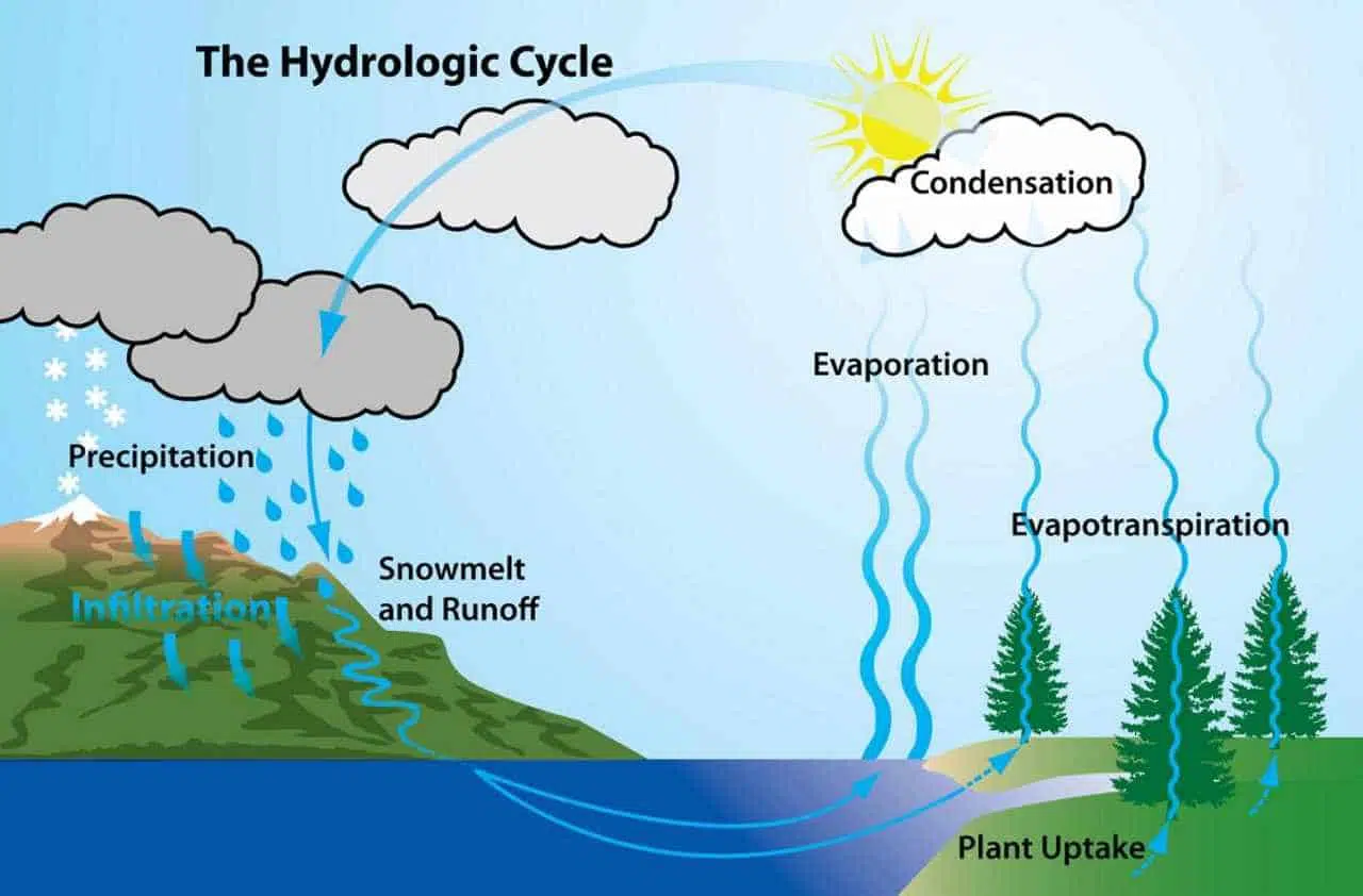 What Are The Three Main Steps Of The Water Cycle